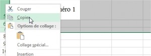 Copie des lignes et conservation des hauteurs Excel